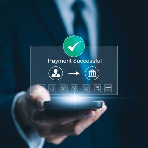 Reimagining Microfinance: Embracing the Digital Financial Services for Business Optimization